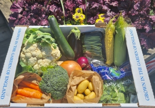 Fruit / Veg Boxes